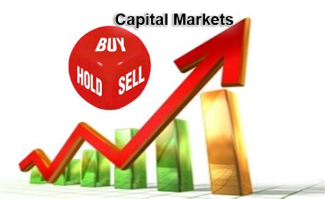 Capitalisation: Understanding Its Role